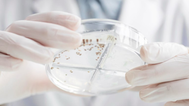 Microbiología